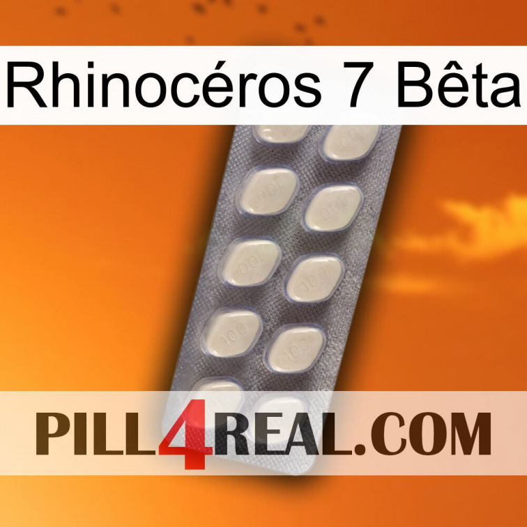 Rhinocéros 7 Bêta 08